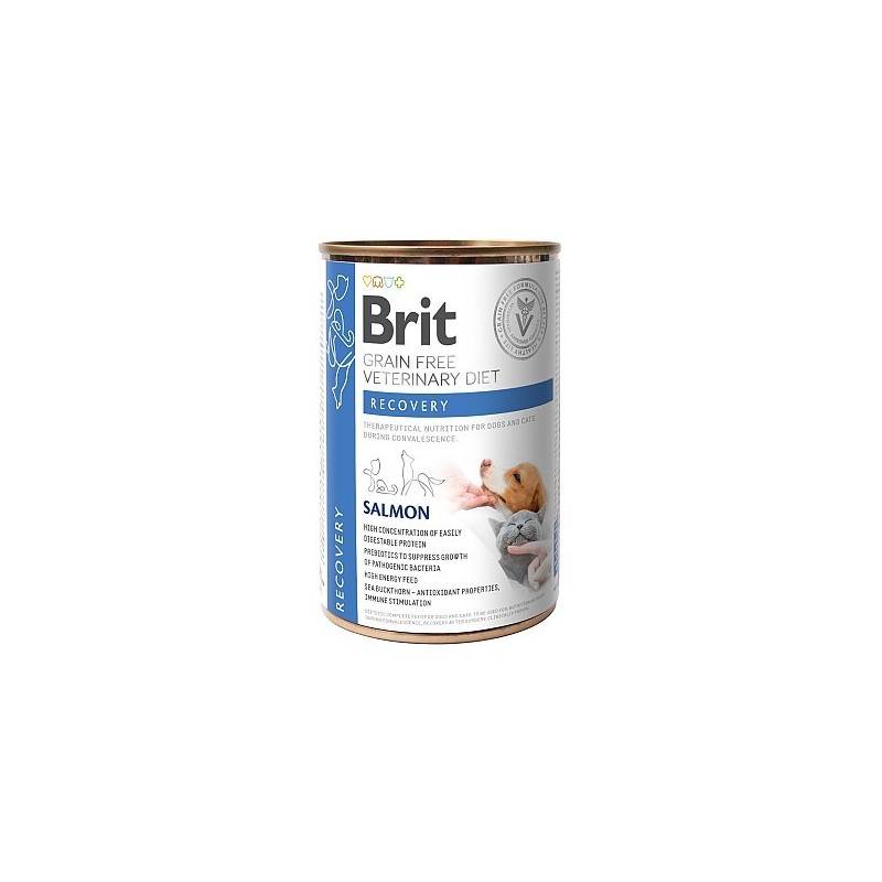 BRIT VD GF DOG & CAT CAN Recovery 400gr
