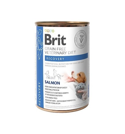 BRIT VD GF DOG & CAT CAN Recovery 400gr